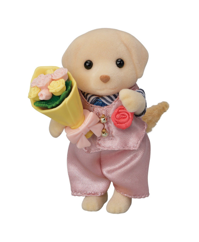 Набор Sylvanian Families Старшие братья 2135