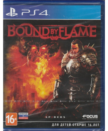 игра Bound by Flame (PlayStation4, Английский язык)