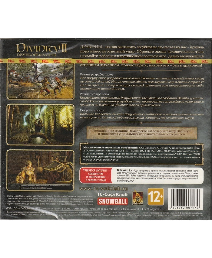 игра Divinity II Developer's Cut (PC, русская версия)